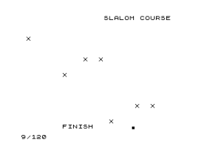Slalom Course